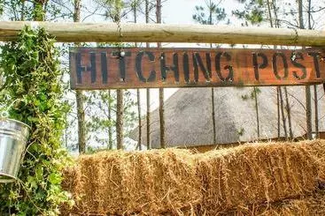 Aamiaismajoitus (B&B) Ollivanders Estate