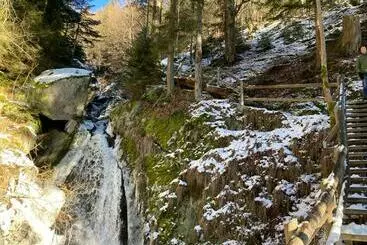 ペンション Bühnenwirtshaus Juster