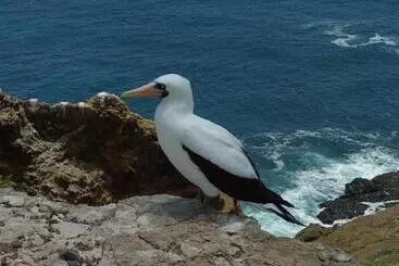 Herberge Hospedaje Algarrobo Machalilla