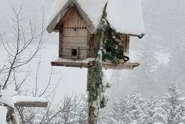 酒店 Kräuterhof Miesrigl