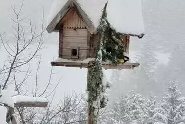 ホテル Kräuterhof Miesrigl