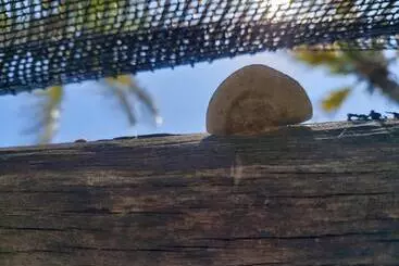 ホテル Mar Del Viento