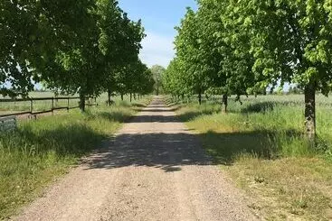 Hotelli Björkåsa Gård Bed & Box