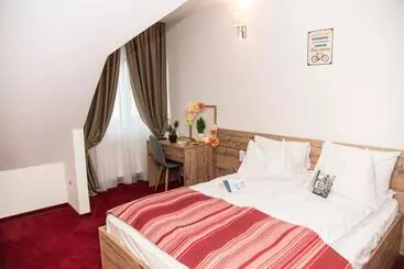 Pensiune Rara Paltinis