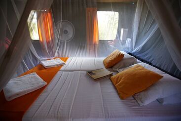Hotel Explorer By Eco Team   Kumana National Park
