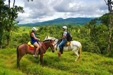 ベッドアンドブレックファースト Cabinas Río Celeste La Amistad