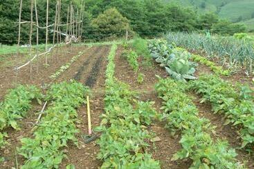 בית מלון כפרי La Ferme Aux Sangliers   Micalet