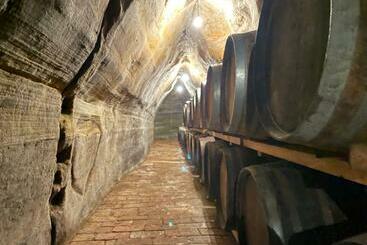 ペンション U Hrádku Superior