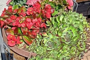 Pension Dreilandereck