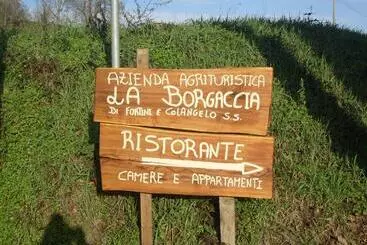 ホテル Farm Stay Agriturismo La Borgaccia