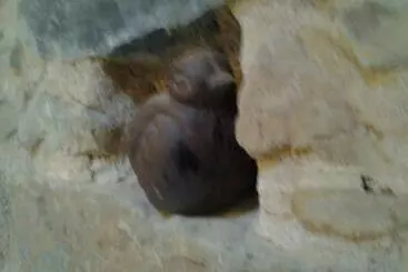 Bed and Breakfast Le Clos Du Merle