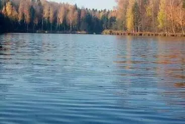 コテージ Far Cordon