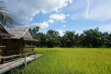 Majatalo Jae's Garden Home Resort