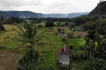 Pension (Hôtel basse catégorie) Sijo Art And Guesthouse