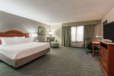ホテル Hilton Garden Inn Orlando International Drive North