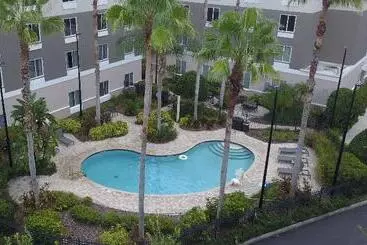 Hotel Holiday Inn Express And Suites Tampa I 75 At Bruce B. Downs, An Ihg