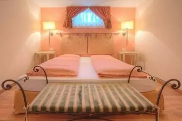 アパートホテル Ciasa La Ro