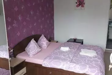 Pension Vila Alexandru