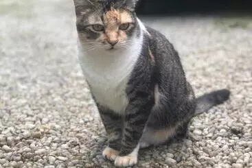 ペンション Viva Brasil Pousada