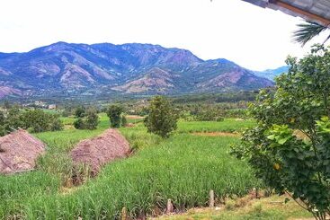 Bed and Breakfast Marayoor Holidays