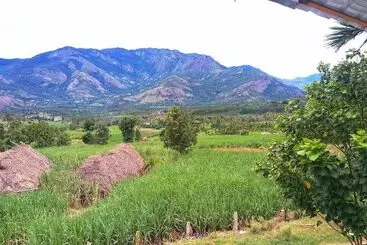 Aamiaismajoitus (B&B) Marayoor Holidays