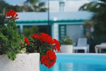 アパートメント Bandama Bungalows