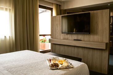 Отель Federico Ii Central Palace