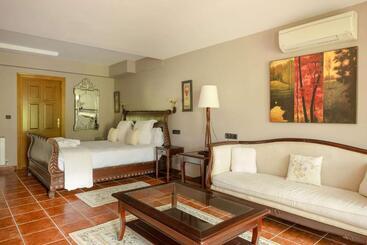 فندق ريفى & Spa Etxegana