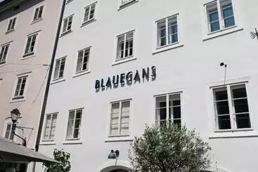 Arthotel Blaue Gans