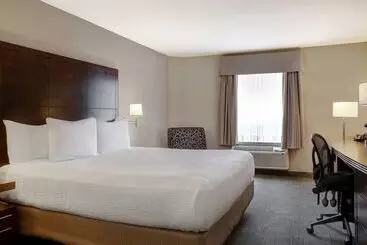 Hotel Days Inn By Wyndham Medicine Hat