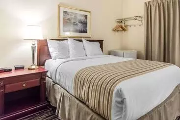 בית מלון כפרי Econo Lodge New Liskeard