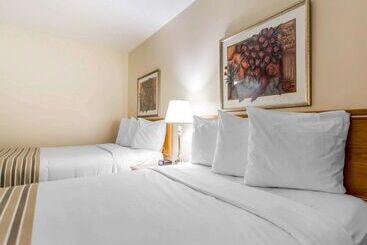 酒店 Econo Lodge New Liskeard