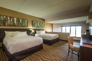 酒店 Horseshoe Resort