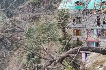 Hotel The Forest Pinnacle And Café, Jibhi