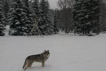 فندق česká Farma