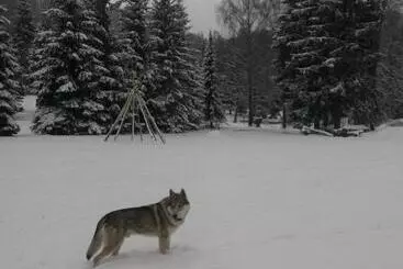 Hotelli česká Farma