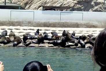 호텔 Marina Del Bay