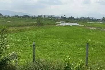 Hotelli Pondok Muara Chalet