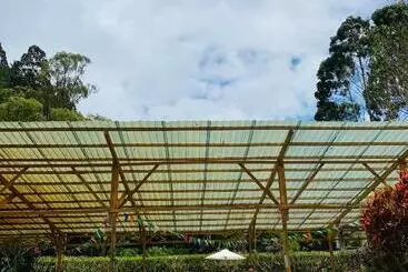 ホテル Mama Tungu Hostel