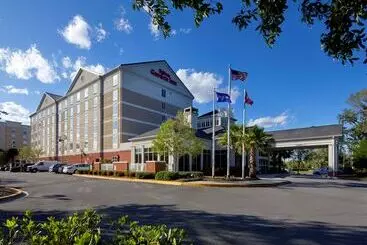 فندق Hilton Garden Inn Savannah Midtown