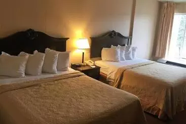 酒店 Quality Inn & Suites