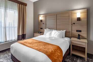 호텔 Comfort Suites Anderson Clemson