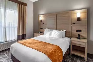 ホテル Comfort Suites Anderson Clemson