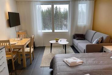 هتل آپارتمان Lost In Levi