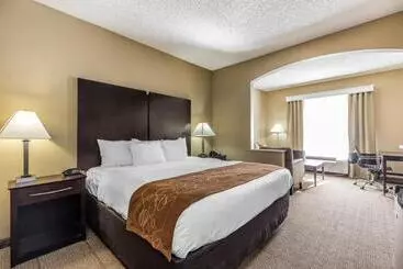 ホテル Comfort Suites The Colony Plano West