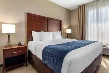 酒店 Comfort Suites Waco Near University Area