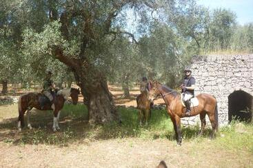 בית מלון כפרי Masseria Li Campi