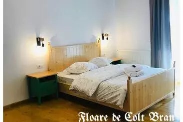Pensionat Floare De Colț Bran