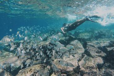 پانسیون Casa Senador