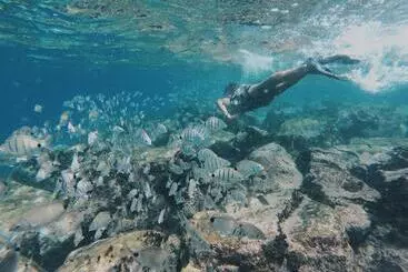 پانسیون Casa Senador